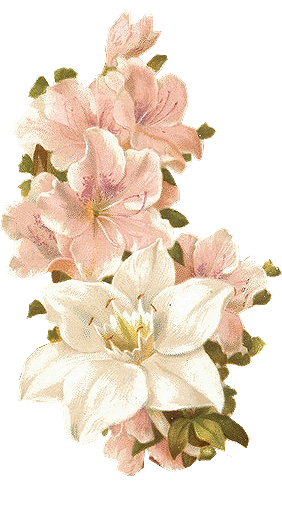https://blackwidow12.files.wordpress.com/2015/03/bertha-maguire-pink-flowers.png